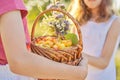 Harvest of fresh sweet yellow cherries in basket in hands of girl Royalty Free Stock Photo