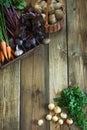 Harvest fresh vegetables from carrot, beetroot, onion, garlic on old wooden board. Top view. Copy space. Royalty Free Stock Photo