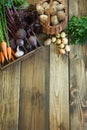 Harvest fresh vegetables from carrot, beetroot, onion, garlic on old wooden board. Top view, rustic style. Copy space. Royalty Free Stock Photo