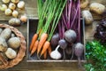 Harvest fresh vegetables from carrot, beetroot, onion, garlic on old wooden board. Top view, rustic style. Copy space. Royalty Free Stock Photo