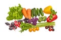 Harvest of fresh vegetables isolated on white background. Tomatoes, sweet pepper, lettuce, carrots, cucumbers, radish, basil Royalty Free Stock Photo