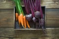 Harvest fresh vegetables on old wooden board. Top view, rustic style. Autumn still life. Gardening. Copy space. Royalty Free Stock Photo