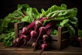 Harvest of fresh young beets with tops on a wooden box