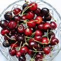 Harvest freshly picked cherries in a crystal vase