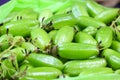 Harvest green bilimbi fruit