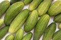 Harvest of green ripe cucumbers