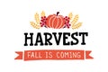 Harvest design. Hand drawn text with autumn symbols