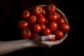 Harvest Hands Cradling a Basket of Tomatoes. Generative AI