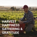 Harvest, happiness, gathering and gratitude text and caucasian male farmer gathering crops