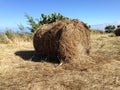 Harvest, hay balls