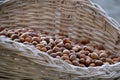 Harvest of hazelnuts in white wicker basket