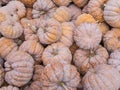 Heap of Japanese Black Futsu Squash, Cucurbita moschata