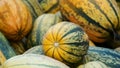 Heap of Spaghetti Squash Pumpkin, Cucurbita pepo Royalty Free Stock Photo