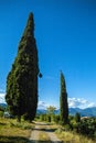 Fields of grass and trees,