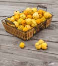 Harvest Japanese quince on a wooden table