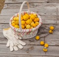 Harvest Japanese quince on a wooden table