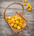 Harvest Japanese quince on a wooden table