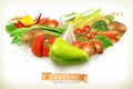 Harvest juicy and ripe vegetables vector illustration isolated on white