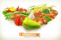 Harvest juicy and ripe vegetables
