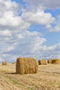 Harvest landscape with straw bales amongst fields in autumn Royalty Free Stock Photo