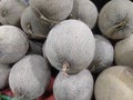 Harvest melon fruit