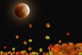 Harvest Moon Royalty Free Stock Photo