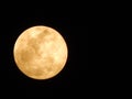Harvest Moon Lunar Eclipse Royalty Free Stock Photo