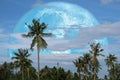 harvest moon on night sky back over silhouette coconut tree and cloud background Royalty Free Stock Photo