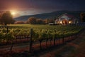 harvest moon shining over a vineyard with ripe grapes Royalty Free Stock Photo