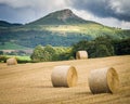 Harvest - Roseberry Topping - North Yorkshire - UK Royalty Free Stock Photo