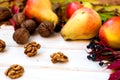 Harvest - nuts, apples, pears Royalty Free Stock Photo