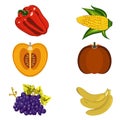 harvest pepper pumpkin grapes banana corn cob on kwanzaa illustration on a white background hand drawn