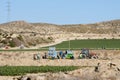 Harvest Picking - Spain Royalty Free Stock Photo