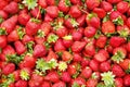 Spring summer detox fruit vegetable diet. Close up of harvest pile. Supermarket stand of clean and shiny vegetables / fruits assor Royalty Free Stock Photo