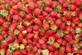 Spring summer detox fruit vegetable diet. Close up of harvest pile. Supermarket stand of clean and shiny vegetables / fruits assor Royalty Free Stock Photo