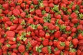 Spring summer detox fruit vegetable diet. Close up of harvest pile. Supermarket stand of clean and shiny vegetables / fruits assor Royalty Free Stock Photo