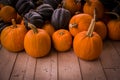 Pumpkins harvest on wood background. Autumn colors orange season for Halloween, Thanksgiving