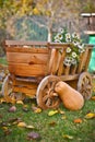 Harvest pumpkins in a wooden cart