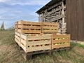 Harvest of red and green apples in ten wooden crates on a German farm, standing on a pallet on green grass near a woodshed. Close-