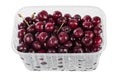 Harvest red sweet cherries in transparent plastic container isolated on white