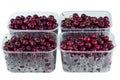 Harvest red sweet cherries in transparent plastic containers