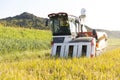 Harvest rice with a combine Royalty Free Stock Photo