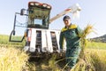 Harvest rice with a combine Royalty Free Stock Photo