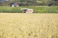 Harvest rice with a combine Royalty Free Stock Photo