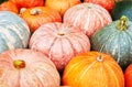 Harvest of organic orange and green pumpkin Royalty Free Stock Photo