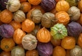 Harvest of ripe organic physalis in close-up, top view. Natural fruits. Generation Ai