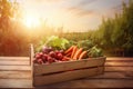 Harvest of ripe organic vegetables in a wooden box on the table, warm sunny background in blur Royalty Free Stock Photo