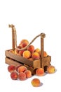 Harvest ripe peaches in a wooden box Royalty Free Stock Photo