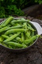 Harvest of ripe pods of green peas. Green peas in stitches in a metal bowl on a wooden natural background. Royalty Free Stock Photo