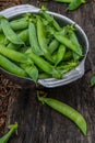 Harvest of ripe pods of green peas. Green peas in stitches in a metal bowl on a wooden natural background. Royalty Free Stock Photo